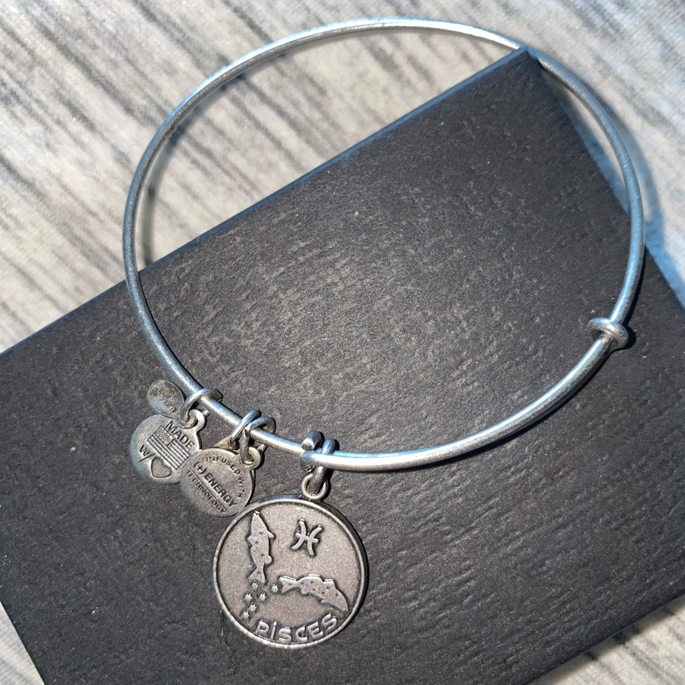 Alex and Ani | Pisces Charm Bracelet
